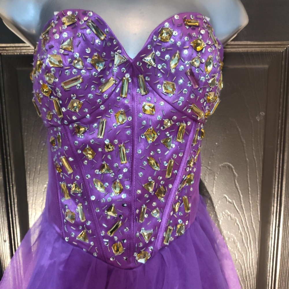 deb Purple and Gold Kids Costume